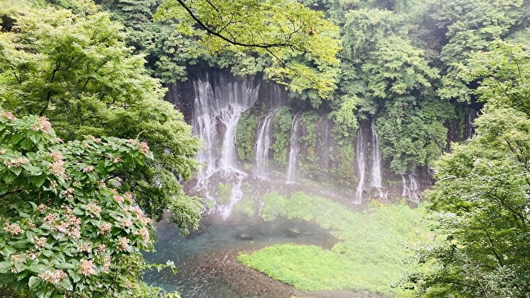 世界文化遺産に登録されている「白糸の滝」